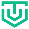 速游加速器 logo